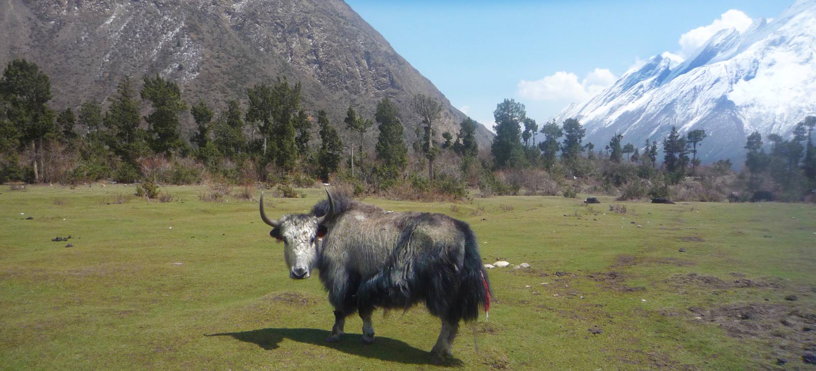 Around Manaslu Trek