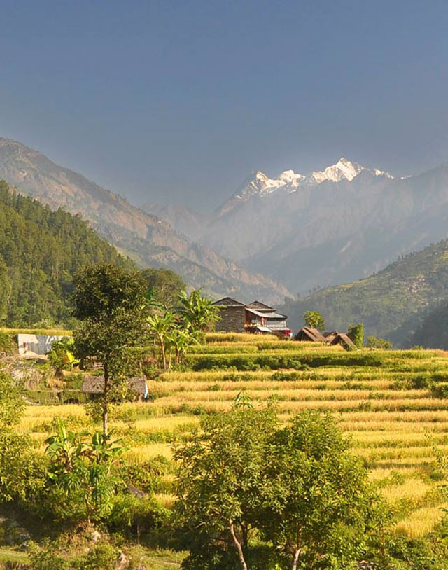 Around Manaslu Trek