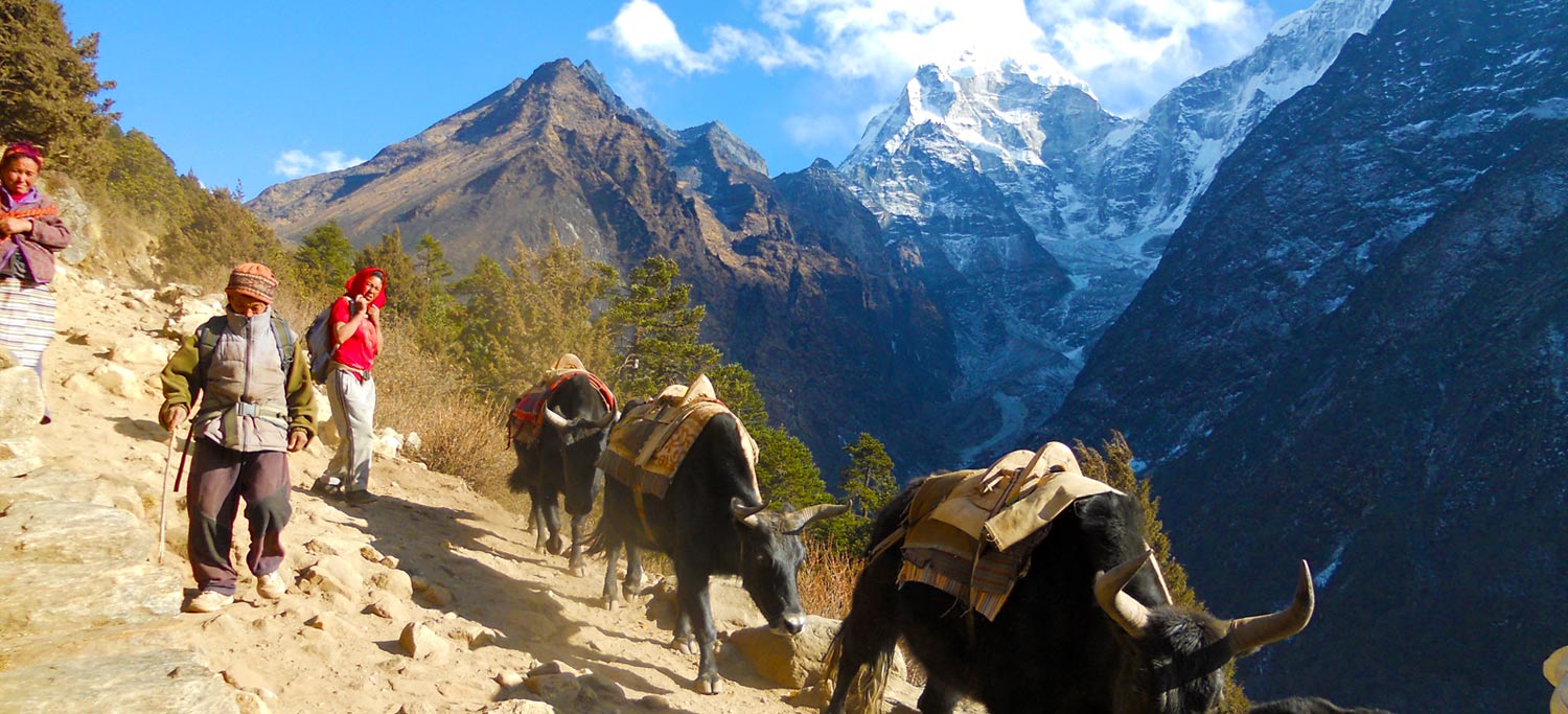 Gokyo Valley & Everest 