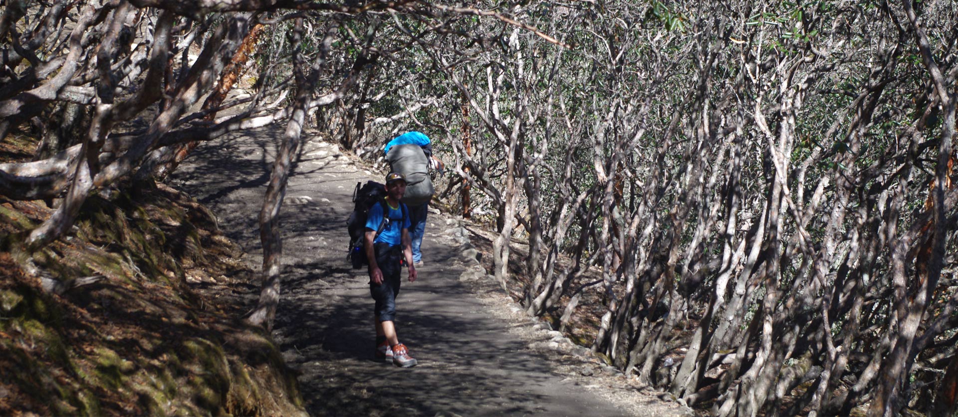 Everest Base Camp Trek