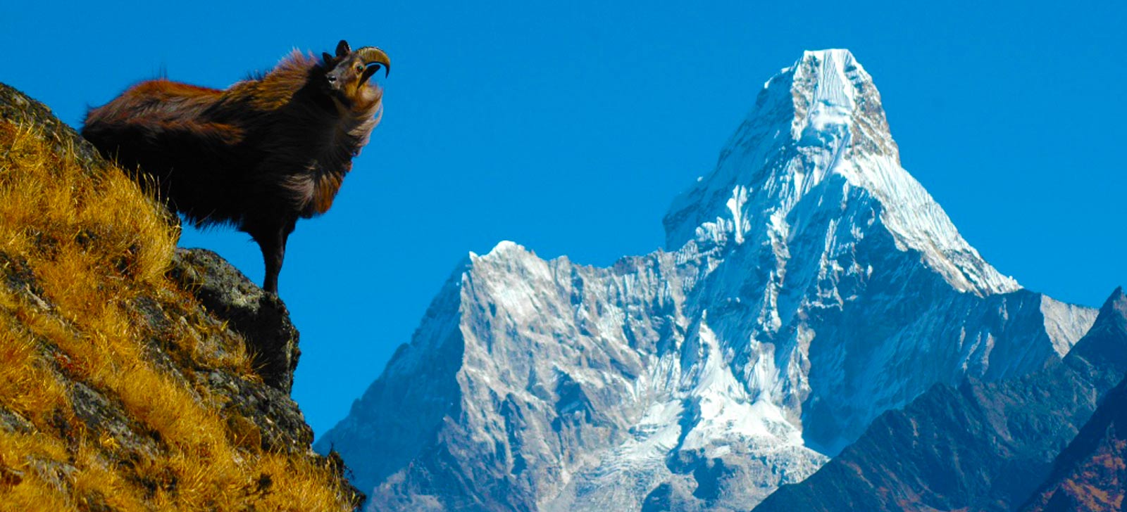Gokyo Valley Trek
