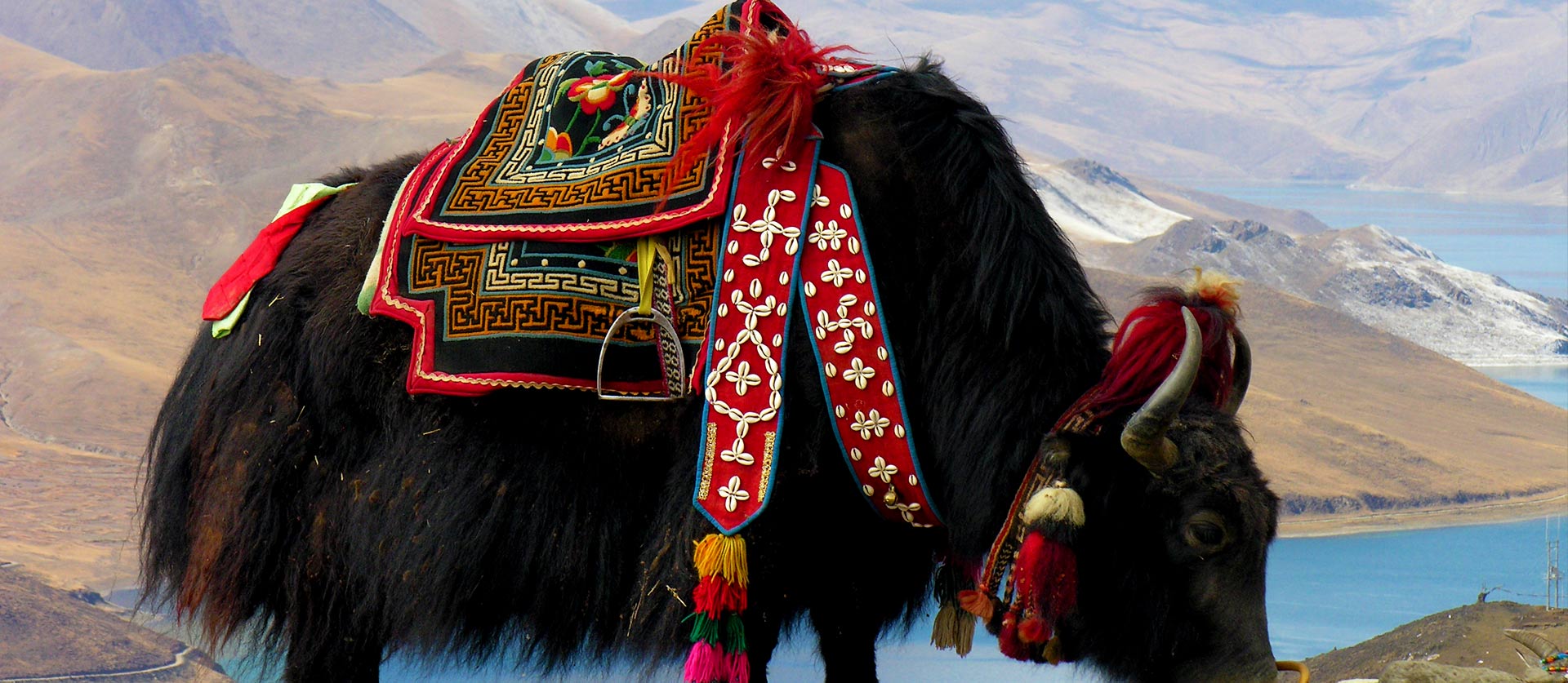 Everest Base Camp Trek